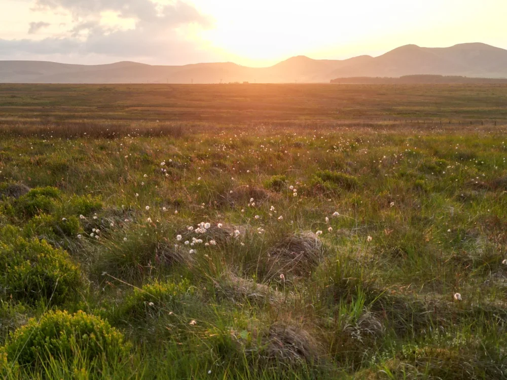 Springfield Farm Holiday Pods Edinburgh - sunset
